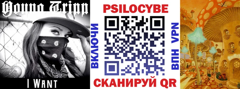 Псилоцибиновые грибы GOLDEN TEACHER  Купить закладки  Белоярский 